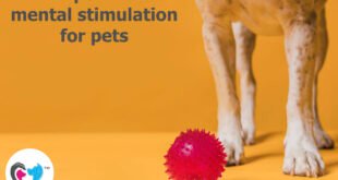 Pets